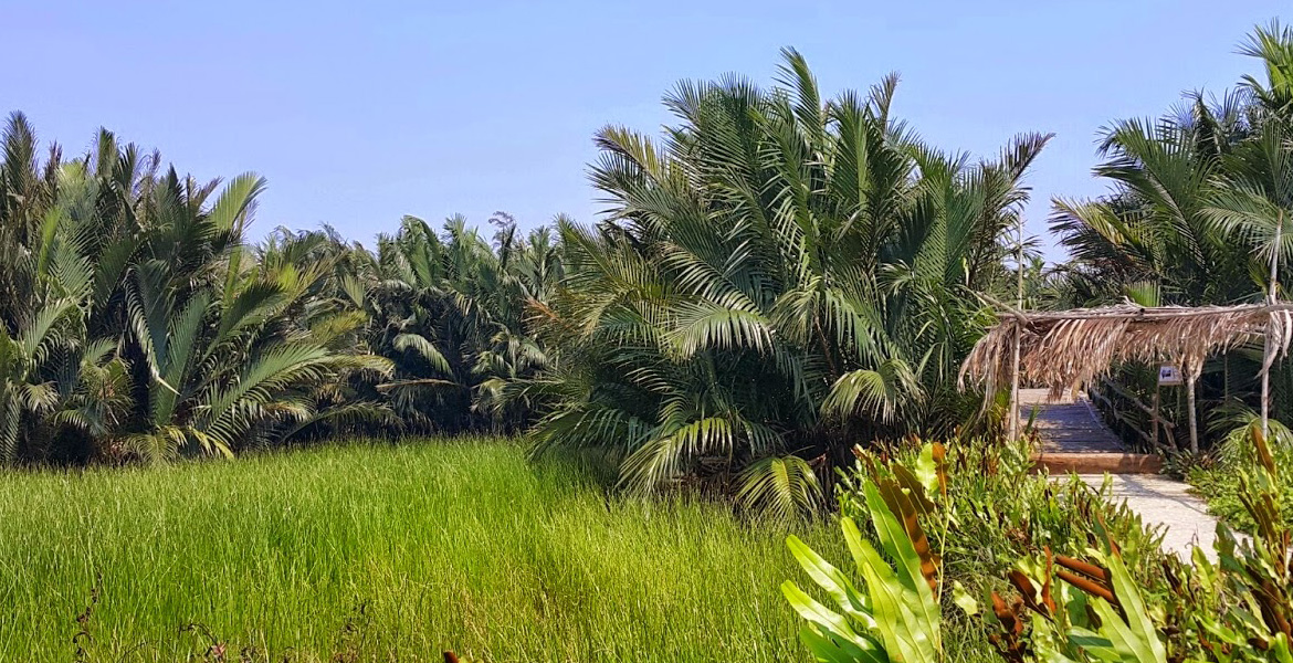 Hoi An Eco Tour